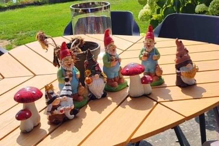 Kabouterbos krijgt nieuw leven: vrijwilligers werken aan herstel en feestelijke heropening