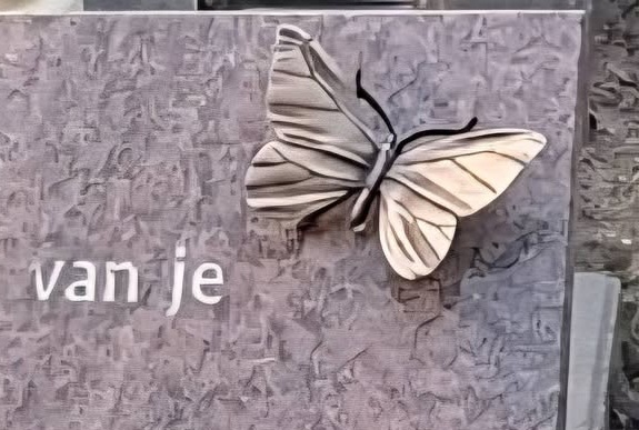 528193534_24276571605365254_7693494254929466243_n-1.jpg