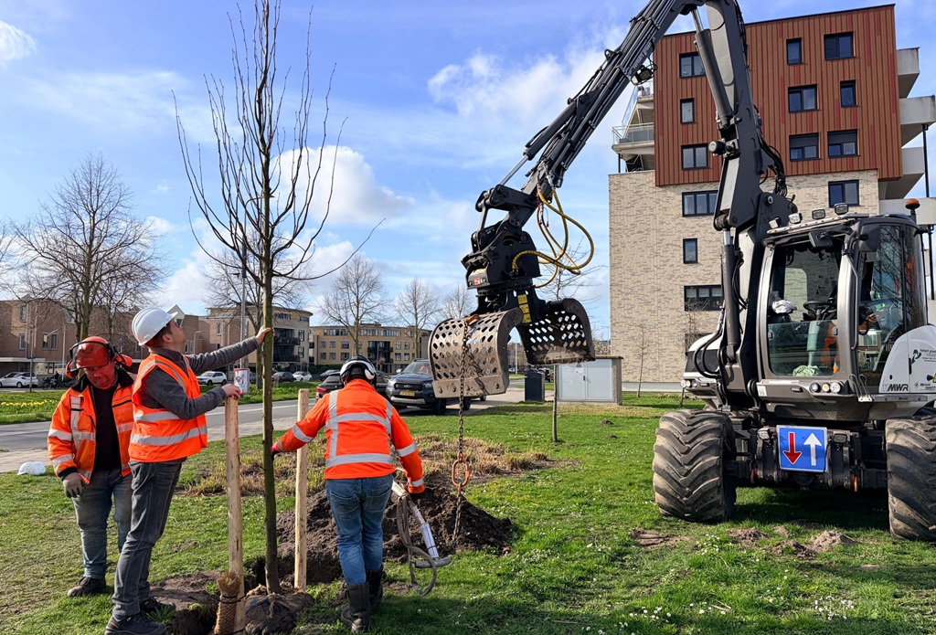 Duizenden nieuwe planten en bomen geven Alphen een groene impuls