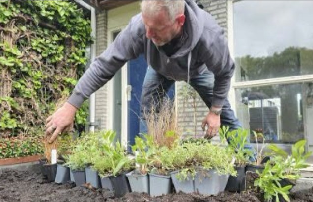 Al meer dan 200 voortuinen vergroend in Alphen tijdens Operatie Steenbreek
