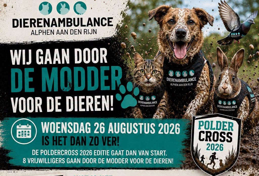 Dierenambulance Alphen rent tijdens Poldercross voor dieren zonder baasje