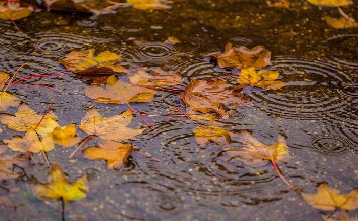 Herfstweer.jpg