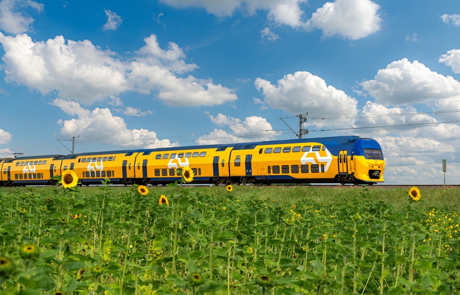 NS.jpg
