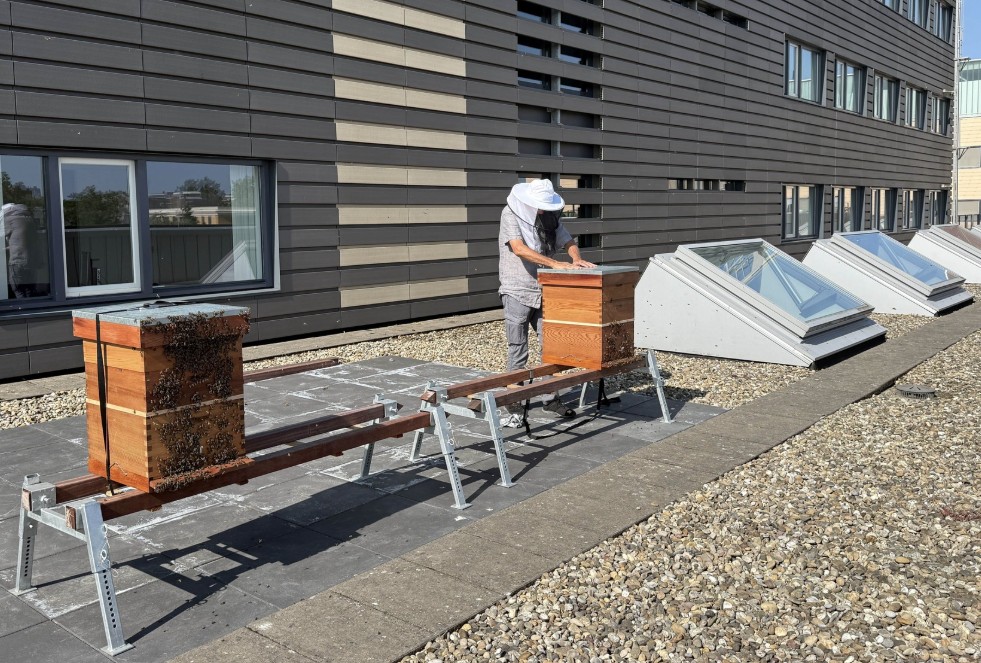 Schermafbeelding_2025-06-25_091211.jpg