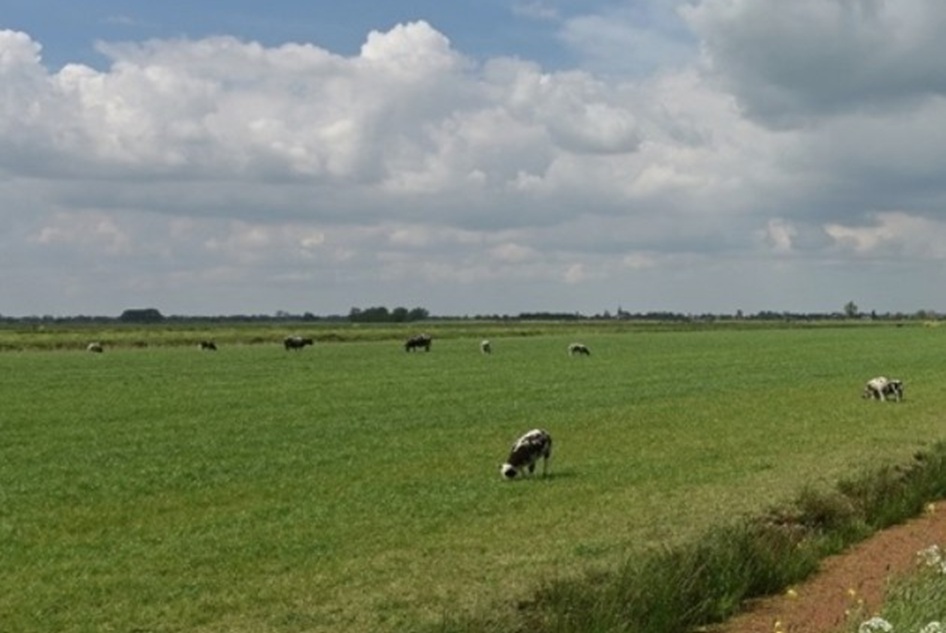 Schermafbeelding_2025-07-14_161257.jpg