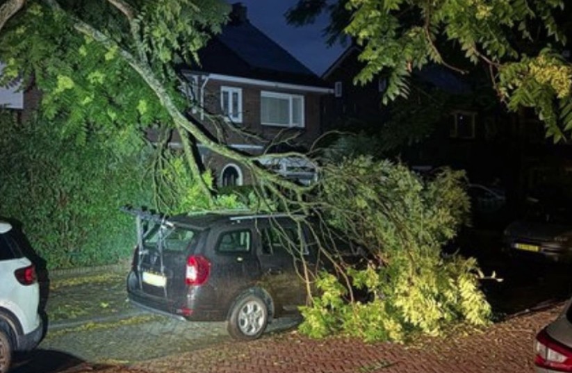 Schermafbeelding_2025-07-22_094042.jpg
