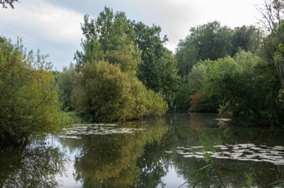 Schermafbeelding_2025-07-31_154603-2.jpg