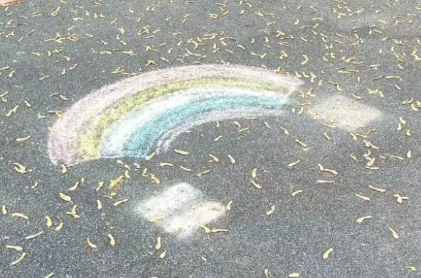 Regenboogbankje in Hazerswoude-Rijndijk opnieuw vernield: steunactie volgt