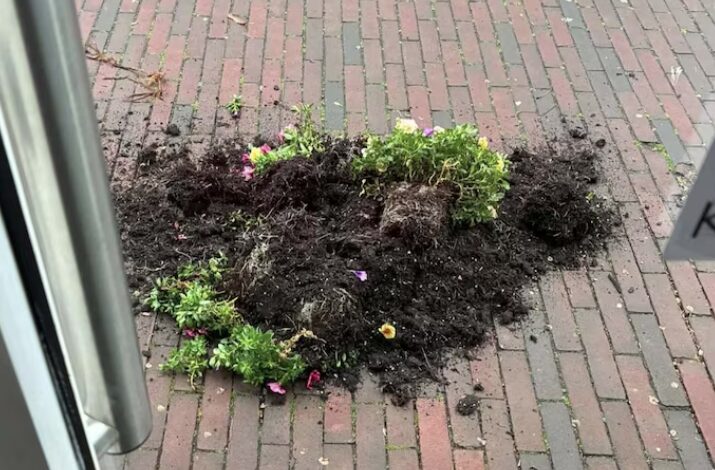 Bloembak vernield voor kapsalon in Alphen aan den Rijn: eigenaresse boos na vandalisme