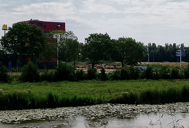 Schermafbeelding_2026-08-04_141328-1.jpg