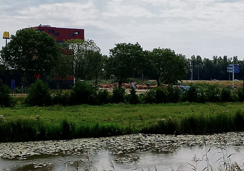 Schermafbeelding_2026-08-04_141328.jpg