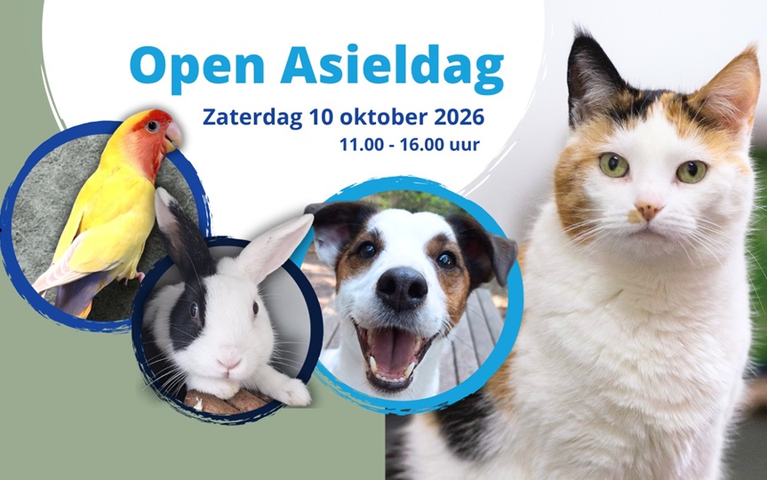 Open Asieldag bij Stevenshage: kijkje achter de schermen en volop activiteiten