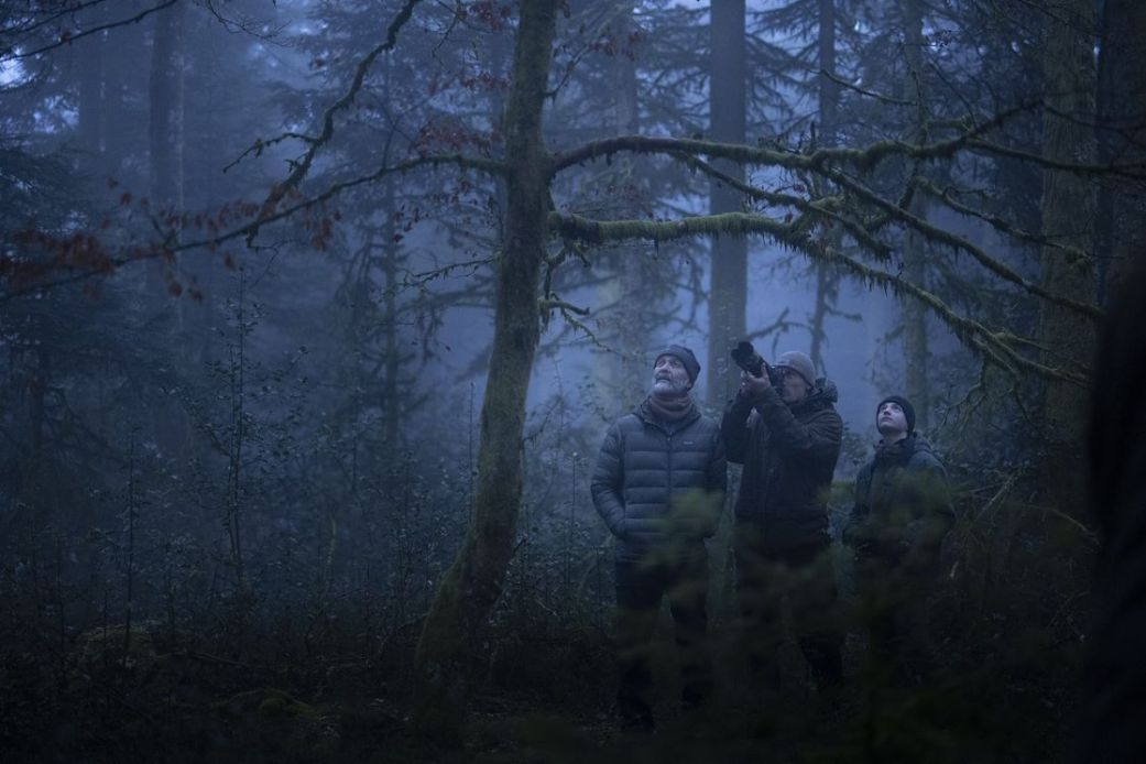 Whispers_in_the_Woods2.jpg