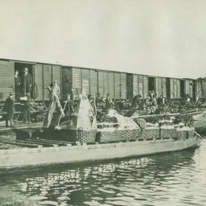 Spoorweghaven
Beschrijving: 
Overscheping van Boomkwekerijproducten tussen 1878 en 1934;