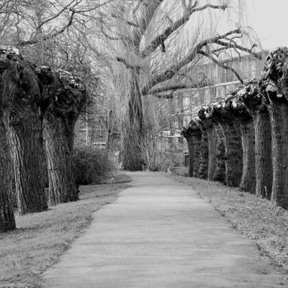 Wandelpad aan de kant van de Aarkade, door de bomen heen ziet u toen nog de Nachtegaalstra