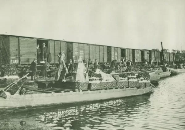 Spoorweghaven
Beschrijving: 
Overscheping van Boomkwekerijproducten tussen 1878 en 1934;