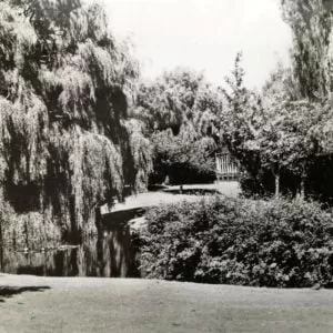 Het Bospark.