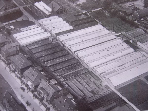Luchtfoto van kwekerij Lemkes aan de van Boetzelaerstraat waar nu de Aarhof is.