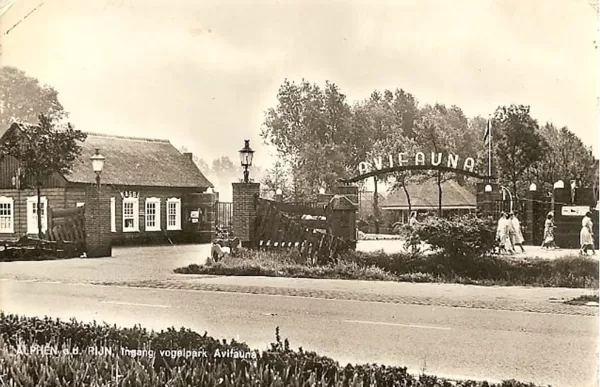 Avifauna