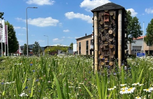 ITC-terrein Hazerswoude-Dorp gekozen als ambassadeursterrein