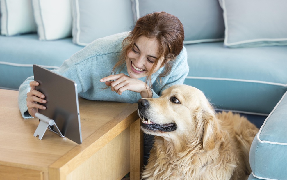 Alphen aan den Rijn heeft laagste hondenbelasting van Zuid-Holland