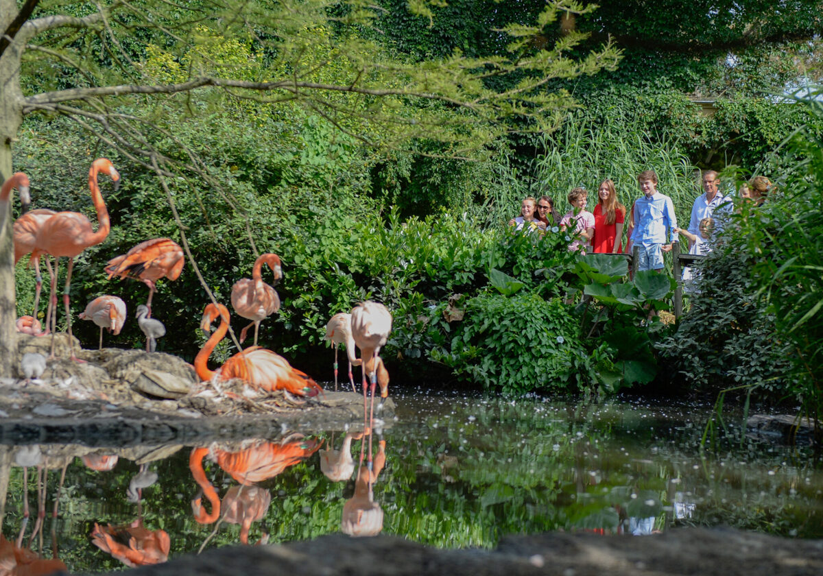 Avifauna neemt voorzorgsmaatregelen na uitbraak vogelgriep